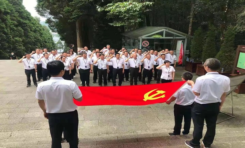 這一年，黨建引領(lǐng)增活力