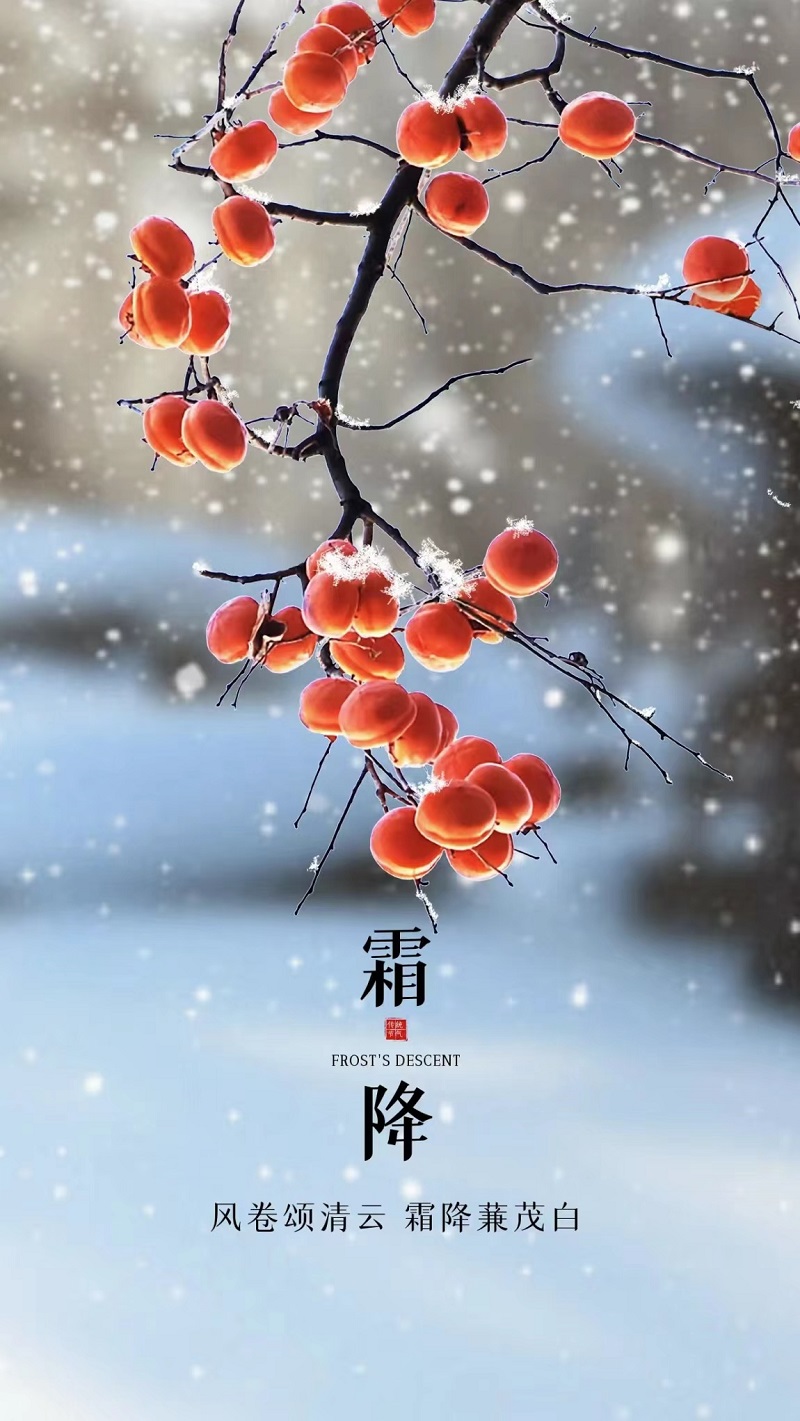 富平公司：晚秋，時光淬煉霜華