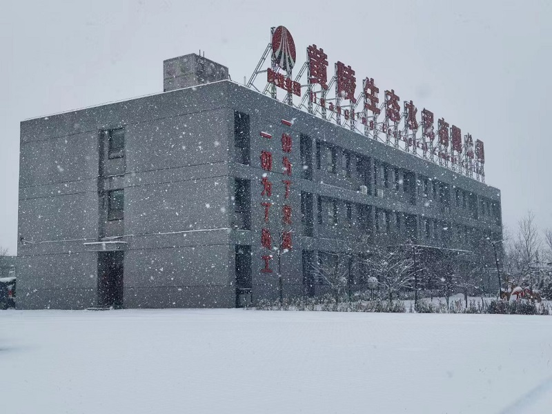 黃陵深冬，與雪共一場清歡