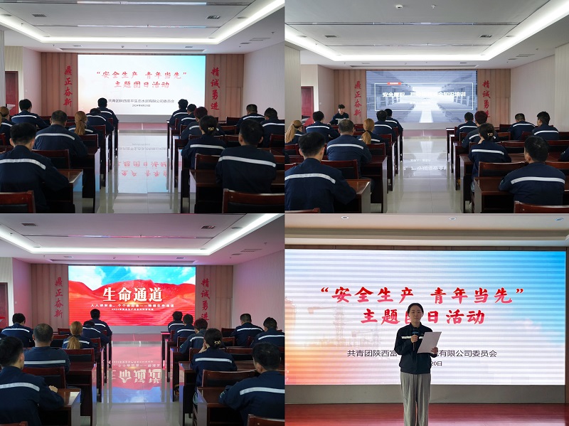 富平公司組織開展“安全生產(chǎn) 青年當(dāng)先”主題團日活動
